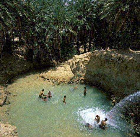 Ras El Aïn, Oasis in Tozeur, Tunisia ~ via @projetnuu #tunisia Vientiane, Desert Life, Future Travel, Pretty Places, North Africa, Travel Inspo, Tunisia, Dream Destinations, Nature Travel