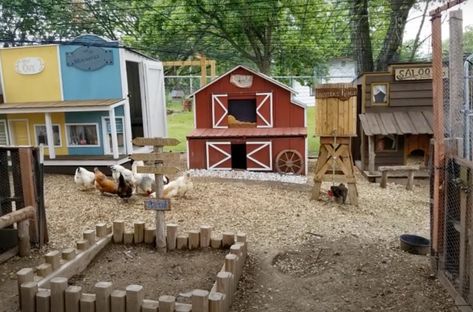 Screengrab from YouTube If you thought the Old West was just for films and TV shows, you can guess again. In maybe one of the most impressive DIY hacks of all time, one man made a chicken coop wild west town for his wife's chickens and it is seriously adorable, which is probably why this chicken coop style […] The post This Wild West Chicken Coop Town is Perfect for Backyard Chickens appeared first on Wide Open Country. Chicken Coop Town, Coop Plans, Dairy Goats, Mini Farm, Chicken Coop Plans, Backyard Chicken Coops, Chicken Diy, Diy Chicken Coop, Chicken Coops