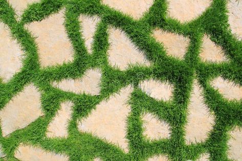 Grass Texture Seamless, Pavement Texture, Grass Paving, Garden Texture, Countryside Garden, Paving Texture, Grass Texture, Stone Wall Texture, Stone Pavement