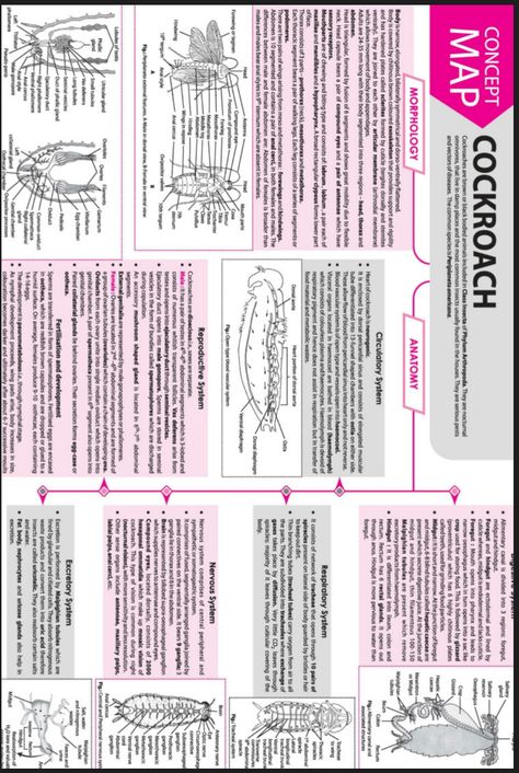 Animal Tissue Biology Notes Neet, Science Flashcards, Brain Map, Neet 2024, Tissue Biology, Biochemistry Notes, Neet Notes, Concept Maps, Gcse Chemistry