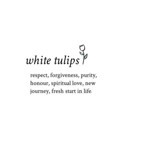 Tulips Quotes, Tulips Meaning, Holland Art, Definition Quotes, Spiritual Love, Flower Meanings, White Tulips, Flower Quotes, Flowers Spring