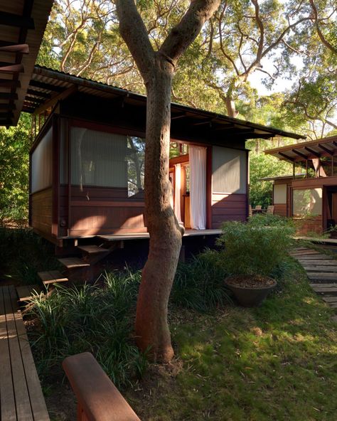 Modern House: Angophora House by Richard Leplastrier Australian Architecture, Patio Interior, Timber House, Japanese Architecture, Architect House, Japanese House, Residential Architecture, Architect Design, Contemporary Architecture