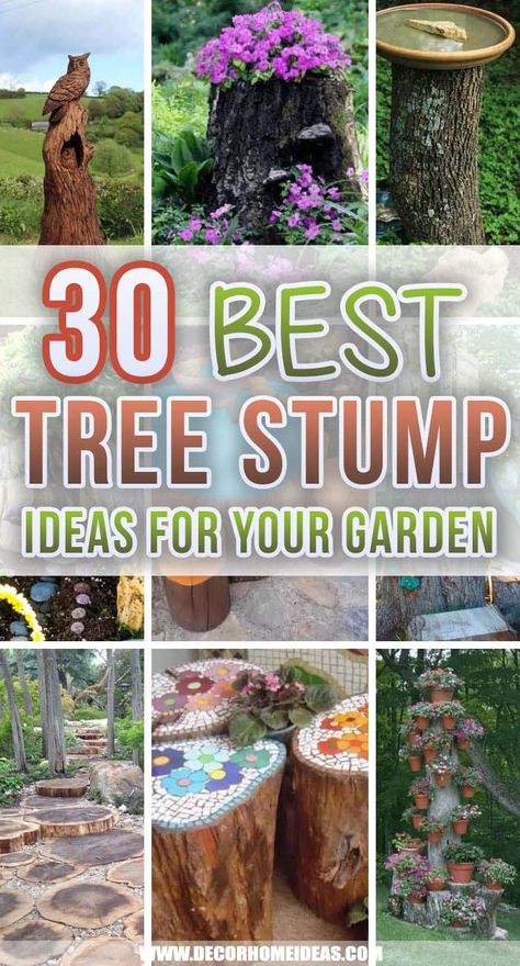 Tree Stumps Diy, Tree Stump Ideas, Tree Stump Decor, Stump Ideas, Tree Stump Planter, Tree Stump Table, Tattoo Plant, Fleur Design, Tree Carving