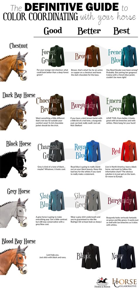 Horse Facts, Horse Riding Tips, Horse Fashion, Bay Horse, Equestrian Fashion, Horse Tips, Grey Horse, Horse Blankets, Horse Equestrian