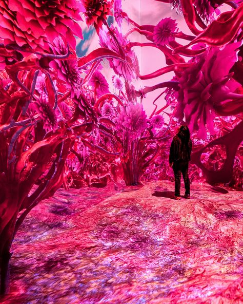 Immersive art experience Magentaverse casts new light on Pantone's Color of the Year | Creative Boom Experiential Art, Chelsea Market, James Webb Space Telescope, Immersive Art, Art Experience, Art Basel, Global Art, New York Street, Immersive Experience