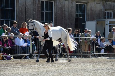 Badminton Horse Trials, Emily King, First Horse, Horse Showing, Zara Tindall, Horse Trials, Beautiful Horse, Weird And Wonderful, Show Horses