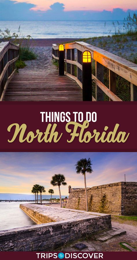 14 Best Things To Do in North Florida Affordable Family Vacations, Florida Vacation Spots, Destin Florida Vacation, Northern Florida, Florida Adventures, Panama City Beach Florida, North Florida, White Sand Beaches, Visit Florida