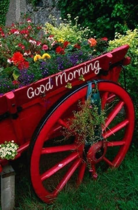 Rise and Shine: 10 Good Morning Quotes, Sayings, and Messages to Start Your Day Right Bless Quotes, Good Morning Quotes Funny, Very Good Morning Images, Flowers Morning, Good Morning Massage, Good Morning Happy Monday, Good Morning Coffee Gif, Cute Good Morning Images, Happy Morning Quotes