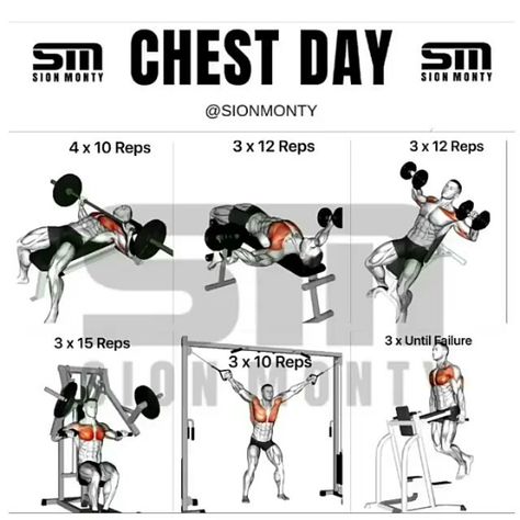 Try this chest workout. Vi Gym Chest Workout, Chest Day Workout, Chest Routine, 7 Day Workout, Chest Workout For Men, Chest Workout Routine, Fitness Studio Training, Chest Day, Best Chest Workout