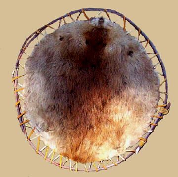 BEAVER PELT STRETCHED FOR DRYING ON A WILLOW HOOP Fur Trapping, Beaver Pelt, Louis Riel, Tanning Hides, Canadian Canoe, Native American Zodiac, Mountain Man Rendezvous, Fur Trapper, Mountain Men