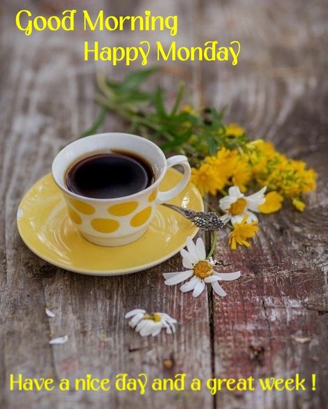 Good Morning Minions, Monday Morning Coffee, Monday Images, Good Morning Monday, Thanksgiving Stories, Monday Coffee, Love Good Morning Quotes, Good Morning Happy Monday, Morning Monday