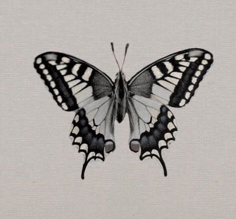 Types Of Butterfly Tattoos, Zebra Swallowtail Butterfly Tattoo, Swallowtail Butterfly Tattoo, Butterfly Thigh Tattoo, Butterfly Tattoos Images, Traditional Tattoo Inspiration, Unique Small Tattoo, Insect Tattoo, Bug Tattoo