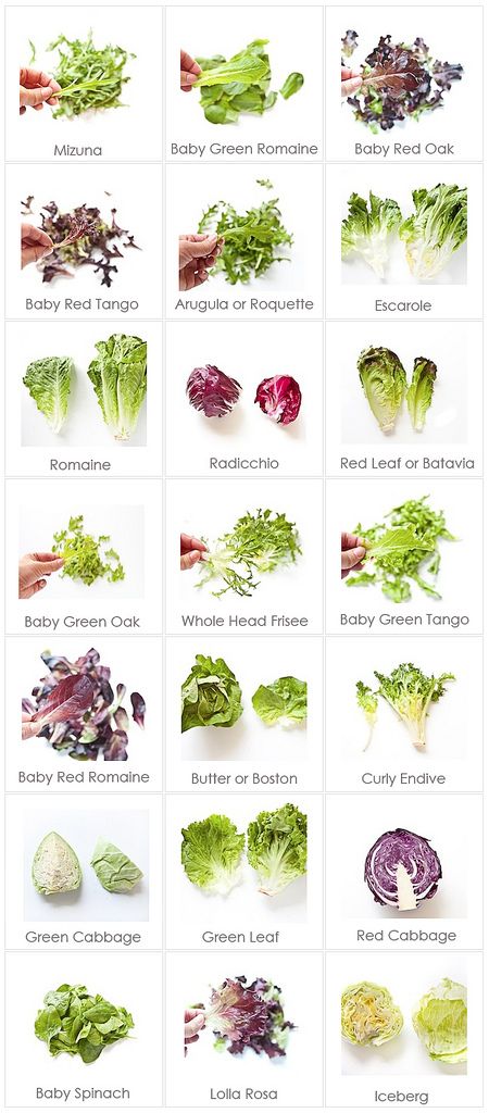 https://flic.kr/p/dbhFza | lettuce varieties names | <a href="http://www.lovemaegan.com/2012/09/food-cheat-sheet-lettuce-varieties-names.html" rel="nofollow">www.lovemaegan.com/2012/09/food-cheat-sheet-lettuce-varie...</a> Types Of Lettuce, Cooking Photos, Salad Greens, Types Of Vegetables, Food Charts, Cooking Guide, Food Info, Think Food, Food Facts