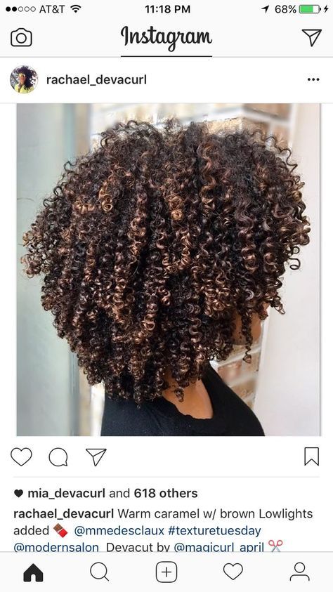 Hazelnut Hair Color Brown Curly, Partial Pintura Highlights Curly, Honey Blonde Highlights Curly Hair Black Women, Cute Curly Hair Colors, Natural Hair Highlights 4c, Natural Curly Haircuts For Black Women, 4b Hair Highlights, Brown Highlights On Natural Hair, 4c Highlights Natural Hair