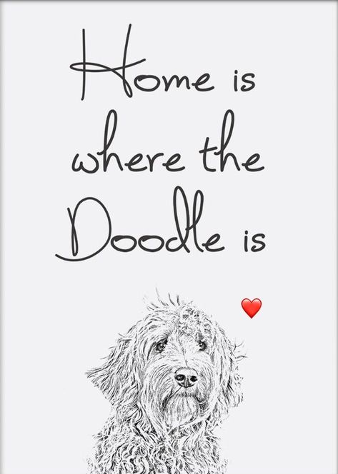 Labradoodle Art, Goldendoodle Art, Irish Doodle, Different Types Of Dogs, Pieces Of Me, Dog Portraits Art, Quotes Cute, Doodle Mom, Australian Labradoodle