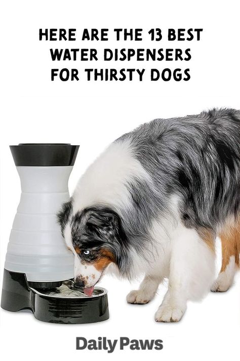 Drinking Water Fountain, Dog Water Bowl, Dog Water Fountain, Colorful Hairstyles, Dog Water Dispenser, Dog Water Bowls, Water Dispensers, Pet Gear, Best Water