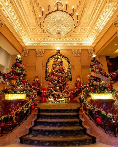 New York Christmas Hotel, New York Luxury Hotel, Nyc Hotels During Christmas, Best Hotels In Nyc, New York Itenary Christmas, Plaza Hotel New York Aesthetic, Fake Travel, Hotels In Nyc, The Plaza Hotel Nyc Christmas