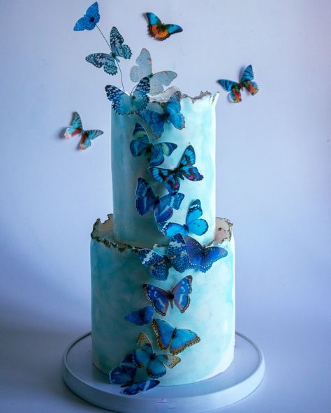 Aqua Haze butterflies!!! These are a collection of beautiful shades of Blues, Turquoise, Aqua, violet and navy butterflies. 100% edible and pre-cut for your convenience! Simply open your Crystal Candy wafer paper butterflies and let them Fly onto your cake to create magic! ORDER HERE: https://www.crystalcandy.co.za/product/aqua-haze-butterflies/ Wafer Paper Butterflies, Candy Wafers, Crystal Candy, Paper Butterflies, Wafer Paper, Order Here, Shades Of Blue, Cake Decorating, Butterflies