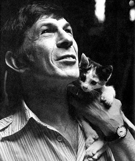 Celebrities With Cats, Patricia Highsmith, Men With Cats, Leonard Nimoy, Cat People, White Photo, Crazy Cat Lady, Celebrity Pictures, Old Pictures