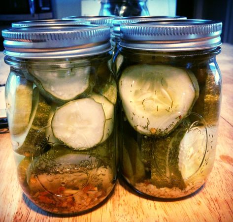 Zesty Dill Pickle Recipe, Canning Pickles Recipe, Make Pickles, Garlic Dill Pickles, Dill Pickle Recipe, Canning Peaches, How To Make Pickles, Canning Pickles, Canning Ideas