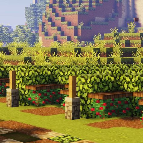 Minecraft Crops Ideas, Minecraft Kingdom, Rumah Minecraft Sederhana, Crop Farming, Minecraft House Plans, Minecraft Farm, Minecraft Cottage, Cute Minecraft Houses, Minecraft Plans