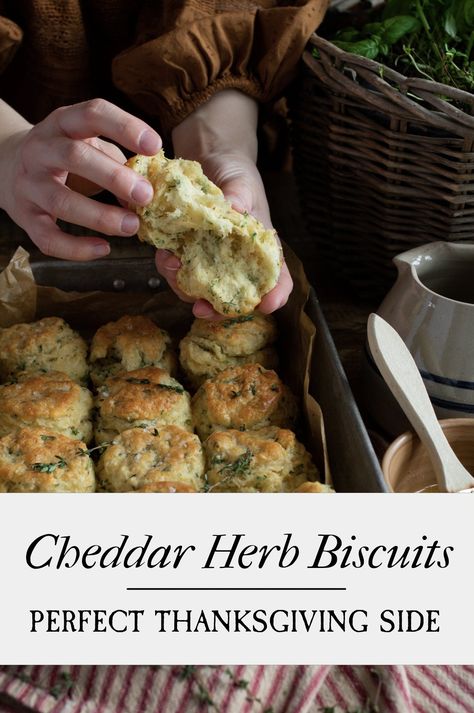 Cheddar And Herb Biscuits, Rosemary Cheddar Biscuits, Thanksgiving Biscuits Recipe, Savoury Biscuits Recipes, Unique Thanksgiving Recipes Side Dishes, Thanksgiving Biscuits, Easy Cheddar Biscuits, Herbed Biscuits, Cheddar Buttermilk Biscuits