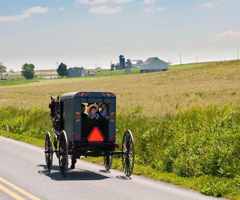 Amish Buggy, Amish Pennsylvania, Pennsylvania Dutch Country, Amish Culture, Lancaster County Pennsylvania, Valley Village, Lancaster Pennsylvania, Horse And Buggy, Pennsylvania Dutch