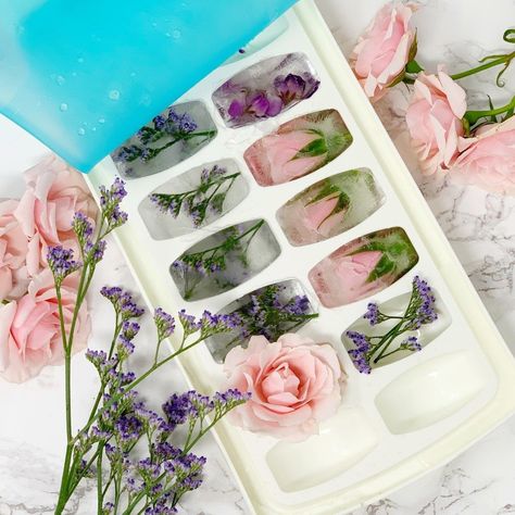 How To Freeze Flowers In Ice Cubes, Ice Cube Flowers, Freezing Flowers In Ice Cubes, How To Make Flower Ice Cubes, Flower Ice Cubes Diy, Edible Flowers In Ice Cubes, Floral Ice Cubes Diy, Pretty Ice Cubes, Frozen Roses In Ice