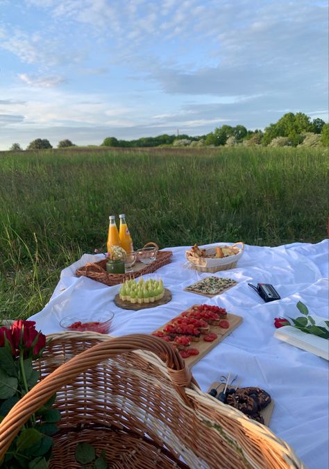 Pic Nic Dates, Mallory Aesthetic, Wholesome Life, Picnic Birthday Party, Michigan Summer, Picnic Inspiration, Picnic Hamper, Picnic Birthday, Outdoor Park