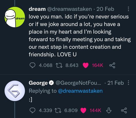 Georgenotfound Quotes, Dnf Tweets, Dreamwastaken Irl, Dnf Irl, Dsmp Twitter, Youtuber Tweets, Dsmp Characters, Comfort Streamer, Minecraft People