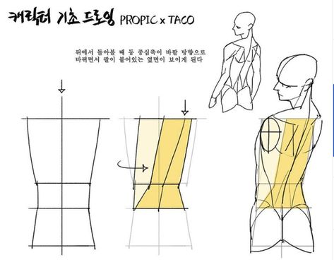 When looking behind, as the centre of the back twists outwards, the side which the arm is attached to can be seen. Point Character Drawing, Human Body Drawing, Anatomy Tutorial, Human Anatomy Drawing, Body Drawing Tutorial, Manga Drawing Tutorials, Human Anatomy Art, Anatomy Sketches, Body Reference Drawing