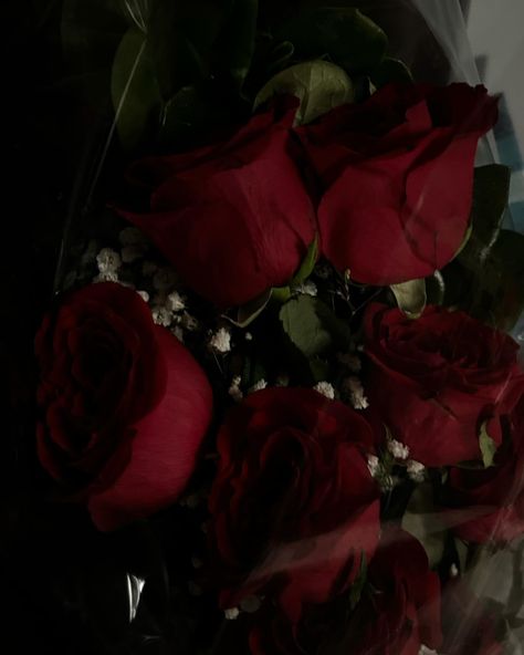 Give me my flowers. Picture Of Roses Flower, Widgets Flowers, Red Nature Aesthetic, Red Vibes Aesthetic, Red Aesthetic Flowers, Arianna Core, Red Flowers Aesthetic, Red Roses Aesthetic, Morgan Aesthetic