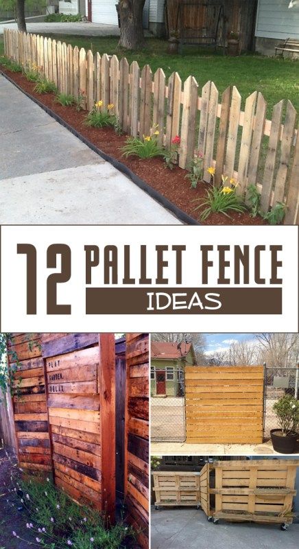 Diy Cheap Fence, Pallet Fence Ideas, Cheap Fence Ideas, Urban Homestead, Fence Designs, Homesteading Diy, Walkway Ideas, Cheap Fence, Pallet Fence