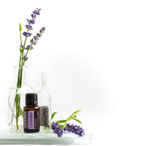 Doterra Lavender, Doterra Business, Doterra Oils, Smoothie Drinks, Doterra Essential Oils, Home Essentials, Lavender Oil, Lavender Essential Oil, Doterra