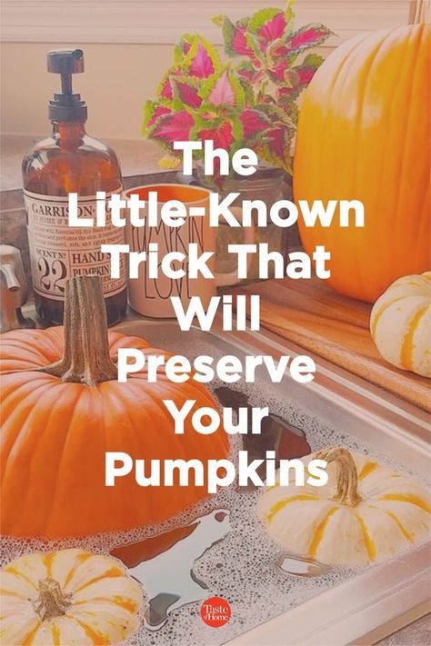 The Little-Known Trick That Will Preserve Your Pumpkins How To Preserve Pumpkins After Carving, How To Preserve A Carved Pumpkin, Pumpkin Washing, Preserving Carved Pumpkins, Preserve Pumpkin, Pumpkin Preservation, How To Persevere Pumpkins, Pumpkin Carving Tricks, Preserve Pumpkins