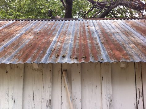 Tin Roof Shed, Corrugated Roof, Metal Roof Panels, Rustic Shed, Galvanized Roofing, Tin Shed, Corrugated Tin, Corrugated Metal Roof, Corrugated Roofing