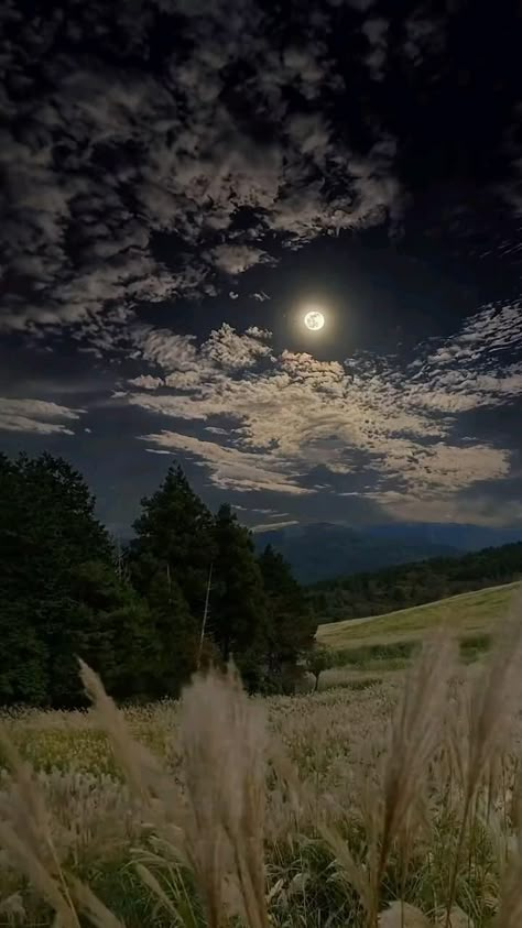 #follow #clouds #view Don't Just Exist Live, All We Have Is Now, Blue Moon Photography, Night Sky Photography, Video Nature, Dark Nature, Night Scenery, Dark Nature Aesthetic, Night Landscape