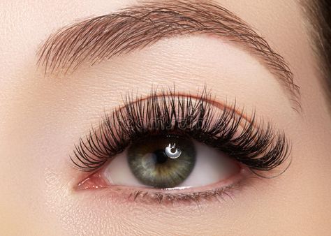 Types Of Eyelash Extensions, 3d Eyelash Extensions, Lash Extension Glue, Best Lash Extensions, Perfect Eyelashes, Individual Eyelash Extensions, Eyelash Extentions, Eyelash Lift, Eyelash Extension Glue