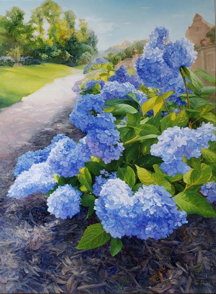 Blue Hydrangea Bush, Hydrangea Landscaping, Hydrangea Painting, Canvas Flowers, Flowers Artwork, Hydrangea Bush, American Fine Art, Lion Painting, Blue Hydrangeas