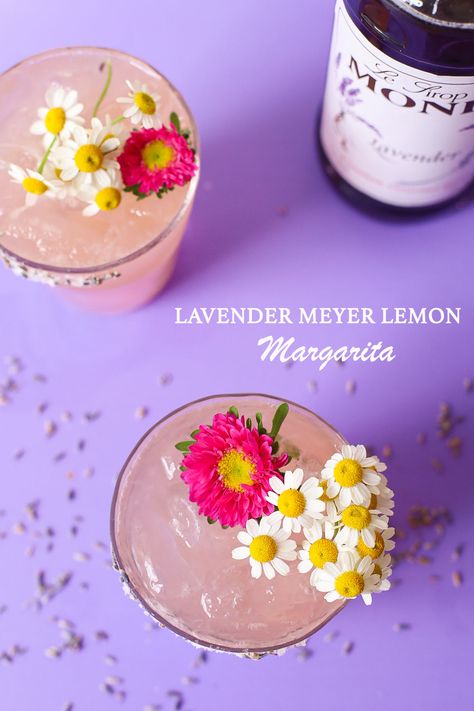 Lavender Meyer Lemon Margarita Lavender Lemon Margarita, Lemon Margarita Recipe, Lavender Margarita, Lemon Margarita, Margarita Day, National Margarita Day, How To Make Margaritas, Lavender Syrup, Cocktail Ideas