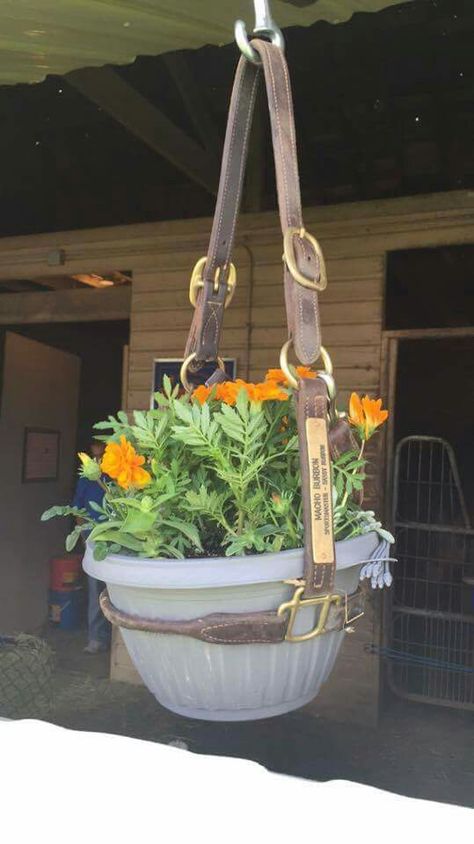 Old halters or memorable halters from past horses... Great way to reuse it Pot Gantung, Barn Hacks, Planters Ideas, Horse Barn Plans, Equestrian Decor, Barn Decor, Horse Crafts, Barn Plans, Dream Barn