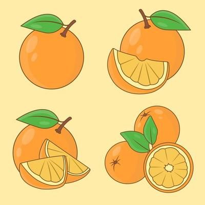 Doodle freehand sketch drawing of orange fruit. 3703528 Vector Art at Vecteezy Drawing Of Orange, Orange Sketch, Orange Doodle, Fruit Drawings, Orange Drawing, Freehand Sketch, Maps Aesthetic, Orange Vector, Fruits Drawing