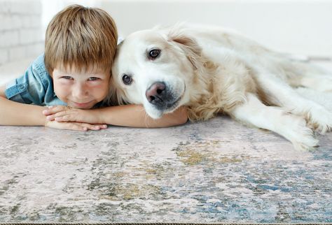 Pet Friendly Rugs | Stain-Resistant, Pet-Proof Area Rugs! Pet Friendly Rugs, Carpet Ideas, Rugs Usa, Rug Stain, Runner Rugs, Wood Floors, Fitness Goals, Rug Pad, Pet Friendly