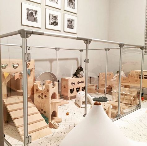 Best Indoor Bunny Setup, Indoor Rabbit Setup Bunny Cages, Rabbit Set Up Indoor Diy, Bedroom Bunny Setup, Cute Bunny Cages Indoor, Chinchilla Room Ideas, Best Bunny Cage Set Up, Cute Bunny Set Up, Animal Room Ideas Pets