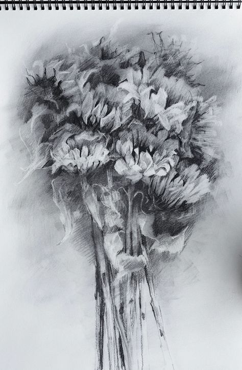 Charcoal Drawings on Behance Charcoal Still Life Drawing, Charcoal Still Life, Vine Charcoal, Drawing Charcoal, Charcoal Pencil, Charcoal Drawings, Still Life Drawing, Charcoal Drawing, Life Drawing