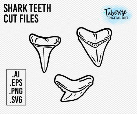 Tiger Shark Tooth Tattoo, Shark Teeth Drawing, Tiny Shark Tooth Tattoo, Shark Tooth Outline, Shark Tooth Drawing, Teeth Outline, Tooth Sketch, Mako Shark Tooth Tattoo, Shark Tooth Illustration