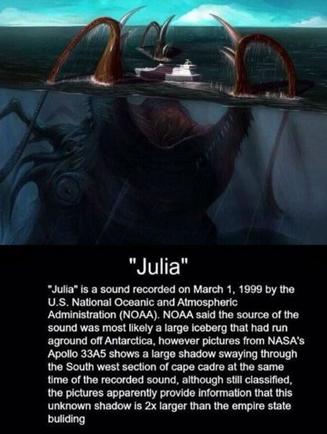 I thought I should add this to sea life. There's so much more in the sea that we even know of. If they have pictures of it- Hopefully we'll see them some day. History Queen, Scary Facts, Creepy Facts, Strange History, Tudor History, The Boogeyman, Viking Woman, Asian History, Anne Boleyn