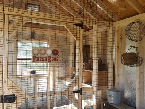 Diy Dog Pen Indoor, Diy Dog Pen, Indoor Chicken, Inside Chicken Coop, Backyard Wall, Urban Chicken Farming, Portable Chicken Coop, Urban Chickens, Coop Design