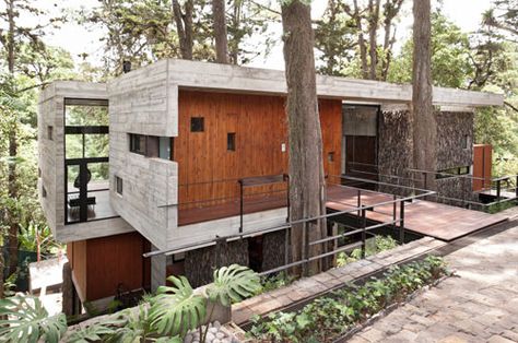 Big Cabin, Concrete Exterior, Slope House, Hillside House, Guatemala City, Concrete Home, Concrete House, Design Exterior, Forest House