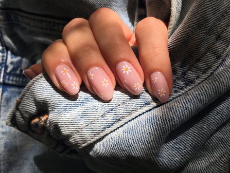 #nails #hybridnails #daisy Short Daisy Nails, Nails With Daisy Design, Goals 2024, Concert Nails, Overlay Nails, Light Blue Nails, Hello Nails, Polish Nails, Daisy Nails